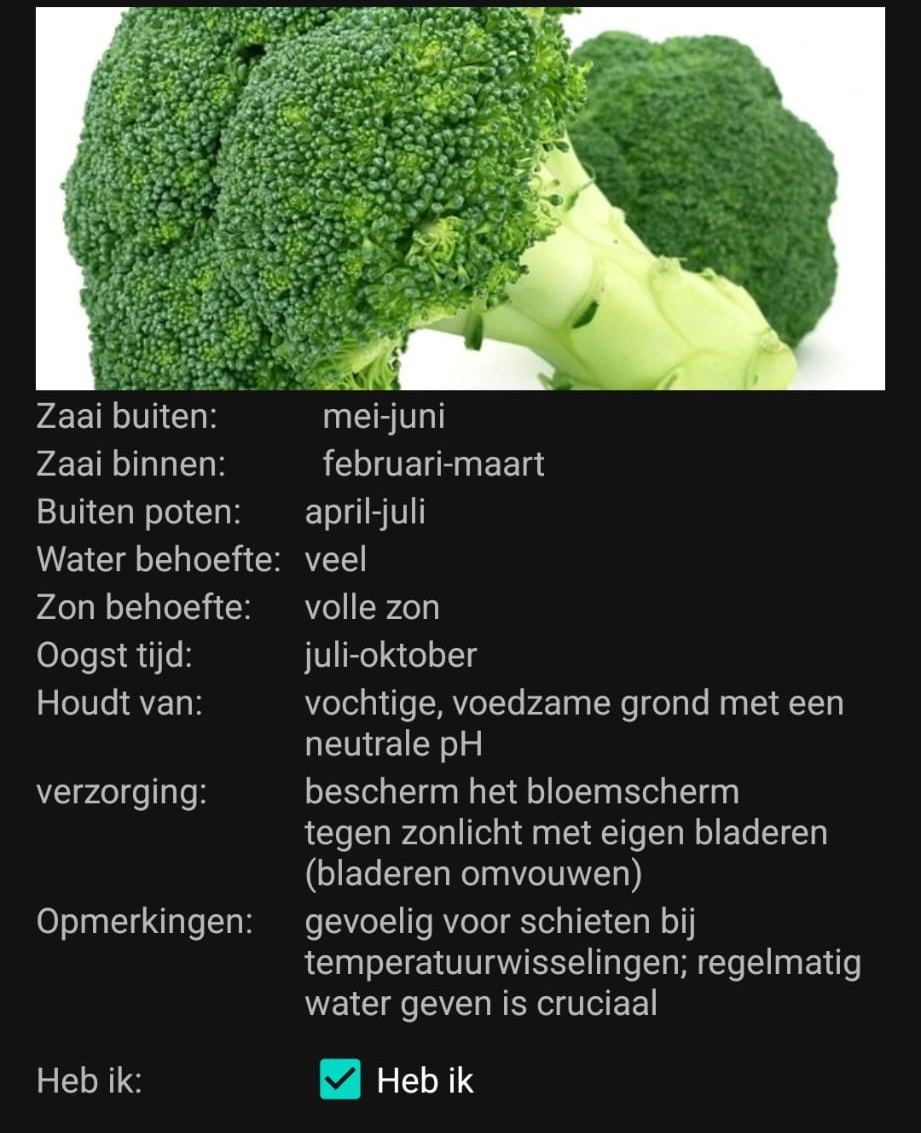 broccoli detail